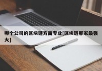 哪个公司的区块链方面专业[区块链那家最强大]