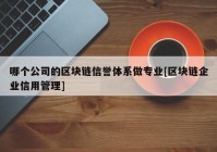 哪个公司的区块链信誉体系做专业[区块链企业信用管理]